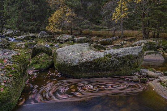 Autumn at the Vydra with huge boulders in the riverbed, Sumava National Park, &Scaron;umava, Czech Republic