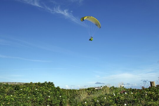 Person paragliding over green landscape and clear sky, North Sea, Lokken, Nordjylland, Jutland, Denmark