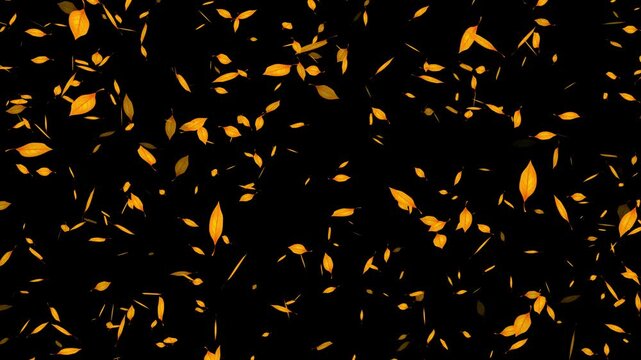Yellow tree leaves filing on transparent background. Pink cherry petals flying. Japanese cherry blossom and petals isolated motion 4k stock video.