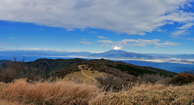 伊豆半島の伊豆山稜線歩道　金冠山山頂から望む富士山　パノラマ写真
