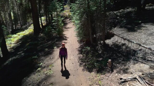 A woman hikes past charred giant sequoias and fallen trees in Sequoia National Monument, where the Century Fire left its mark.