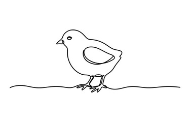 Minimalist continuous single line drawing of a cute little chicken baby bird standing isolated on transparent background © Explore Store