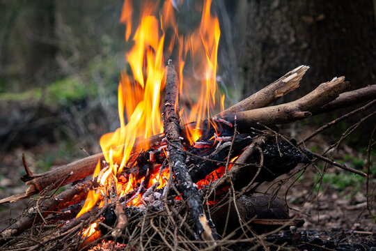 Bright vibrant flames roaring from a wild forest campfire, crackling woods burning with intense heat during a cold winter outdoor hike
