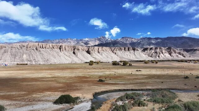 Yardang landform and desert grassland landscape in Xinjiang