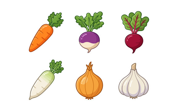 Set of fresh colorful root vegetables including carrot turnip beet radish onion and garlic icons Vector