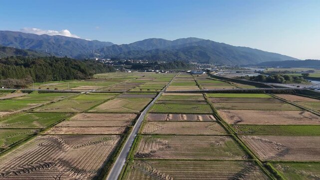 A farm track cuts through a wide patchwork of rectangular golden brown fields with a mountain ridge in the distance.