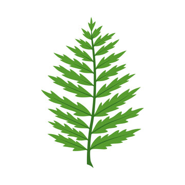Green Fern Leaf Botanical Foliage Design