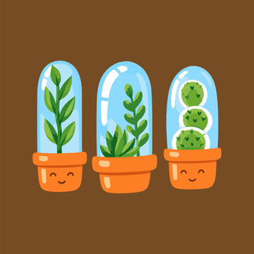 Cute Kawaii Terrarium Plants in Glass Domes with Smiley Faces