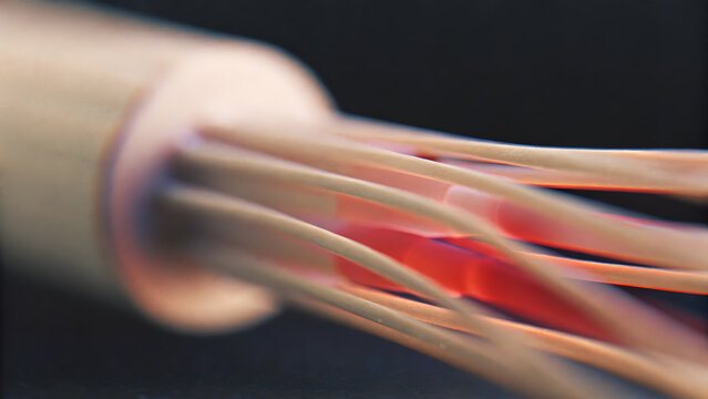Close up of a kitchen whisk with thin metal wires and a red handle against a dark blurred background