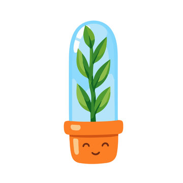 Cute happy plant in a glass dome terrarium