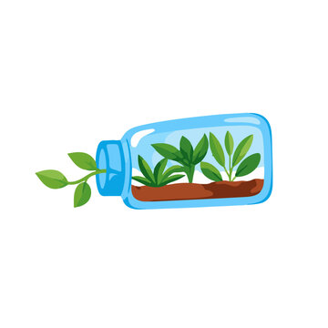 Green plants growing inside a glass jar terrarium illustration