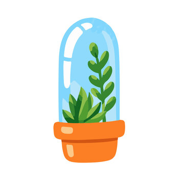 Succulent plant in glass terrarium bell jar on orange pot