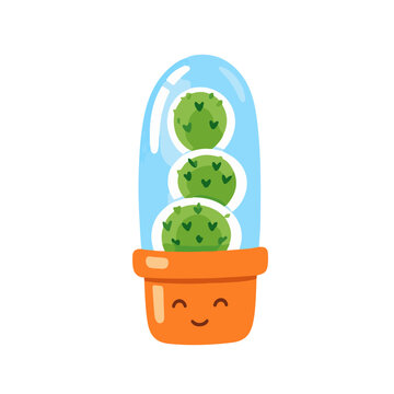 Cute Green Cactus Plant in a Smiling Pot under Glass Dome terrarium