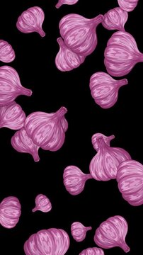 Falling Purple Garlic Bulbs Animation on Black Background