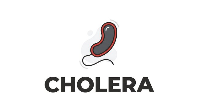 Cholera bacteria illustration showing Vibrio cholerae pathogen