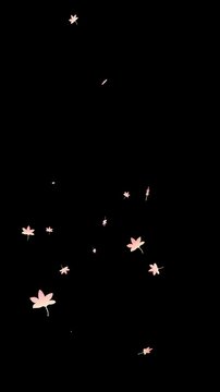 Falling Autumn Maple Leaves Flying Right to Left Seamless Loop Alpha Channel Overlay for Vertical Video 1080x1920 9:16 Reels Shorts