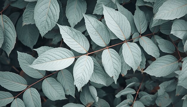 Close-Up Leaf Texture Background with Abstract White Foliage, Autumn Plant Details and Natural Botanical Patterns, Creating an Elegant Seasonal Nature Inspired Backdrop