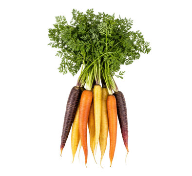 Vibrant bunch of fresh, colorful heirloom carrots with green leafy tops is neatly arranged against a clean white background