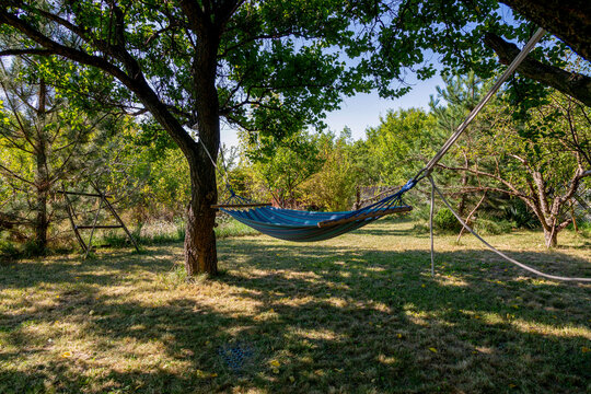 Blue hammock suspended between trees against the backdrop of the property