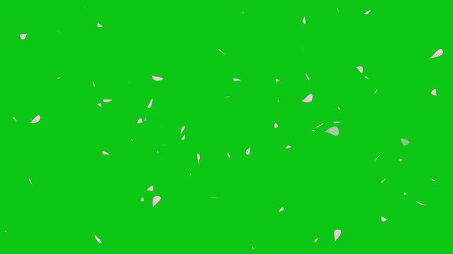 Nonstop loopable cherry blossom petal filing on transparent background. Pink cherry petals flying. Japanese cherry blossom and petals isolated motion 4k stock video.