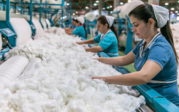Workers process recycled polyester fibers in textile factory. Female employees handle soft white synthetic material near industrial machinery. Manufacturing plant uses eco tech for sustainable fabric