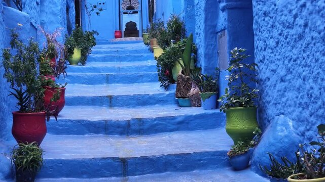 Morocco travel destination Chefchaouen iconic azure blue painted stairway decorated with flower pots between ancient whitewashed architecture in old town.