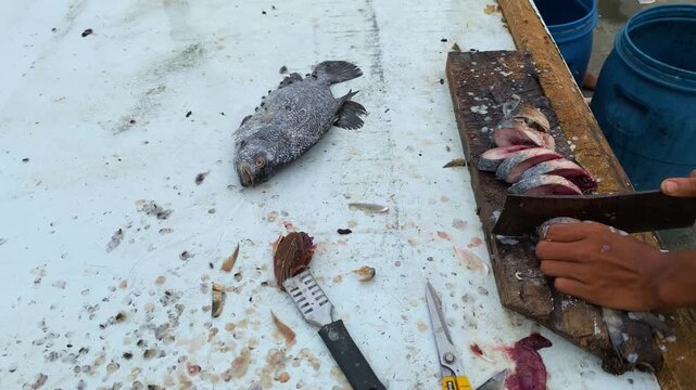 Hands chop sea fish into pieces with a cleaver on a wooden board, flies flying around - Kuakata Bangladesh