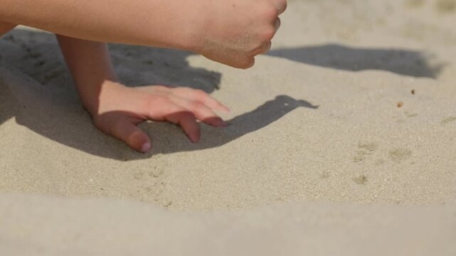 A boy is digging in the sand on the beach close-up tilt camera movement
