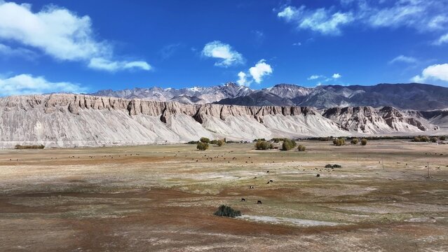 Yardang landform and desert grassland landscape in Xinjiang