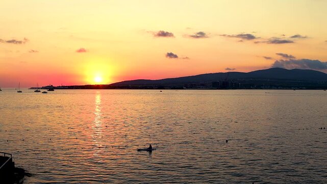 Sunset over calm water with boats sailing, silhouetted trees framing the scene, and distant hills creating a serene landscape in a coastal region
