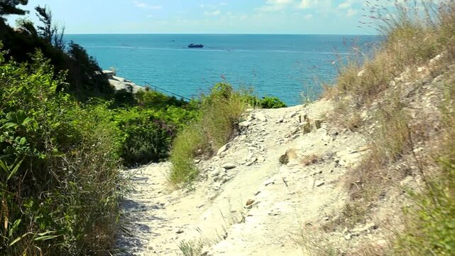Scenic coastal view with a speedboat navigating through turquoise waters, framed by lush green vegetation and rocky cliffs under a bright blue sky