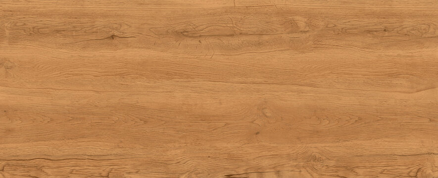 natural maple old wood texture texture of the sand