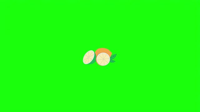 Fresh lemon and lime sliced citrus fruit vector illustration isolated on green screen.