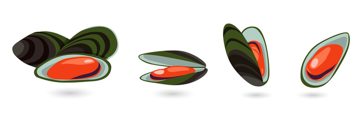 Set of fresh green mussels isolated on white background transparent background © Mahmuda