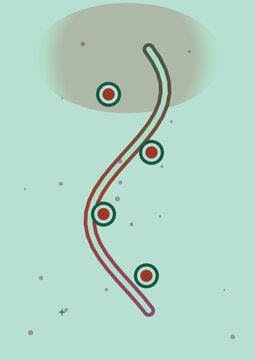 Abstract DNA Strand Visualization: A stylized representation of a DNA double helix, showing the intertwined strands and bases, rendered in a cool, scientific color palette with a soft gradient effect.