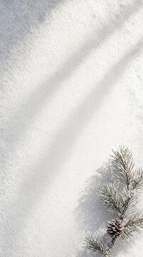 Minimalist winter snow background with a tiny frosty pine twig and soft elegant shadows for holiday
