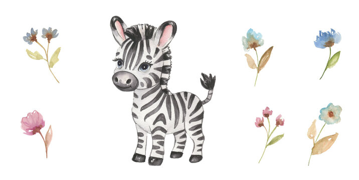 Cute hand drawn watercolor zebra - cute little baby zebra foal, black white striped character. Hand-drawn illustration for nursery, baby shower, children card, safari animals collection.