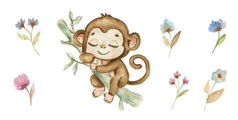 Cute hand drawn watercolor monkey - cute little baby monkey sleeping on tree branch, brown character. Hand-drawn illustration for nursery, baby shower, children card, safari animals collection. © NATALIA