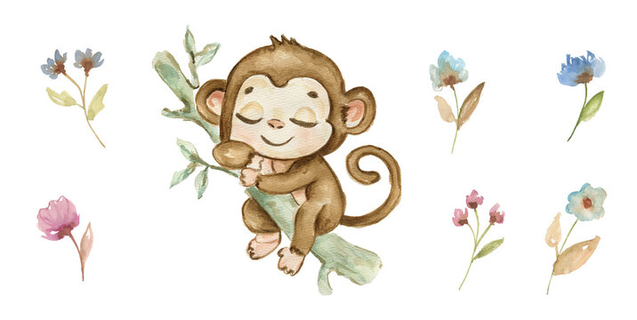 Cute hand drawn watercolor monkey - cute little baby monkey sleeping on tree branch, brown character. Hand-drawn illustration for nursery, baby shower, children card, safari animals collection.