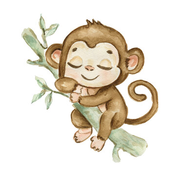 Cute hand drawn watercolor monkey - cute little baby monkey sleeping on tree branch, brown character. Hand-drawn illustration for nursery, baby shower, children card, safari animals collection.