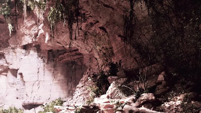 Sunlight illuminates the interior of a massive cavern where wild green bushes and dry branches grow among the textured stone walls during the bright light of day in a remote natural environment
