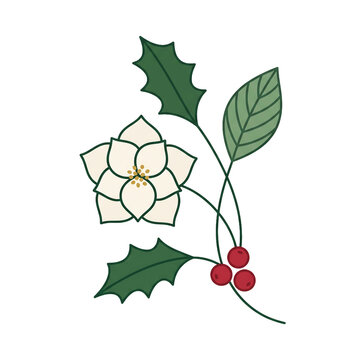 Christmas festive floral branch with white flower and red holly berries isolated on transparent background