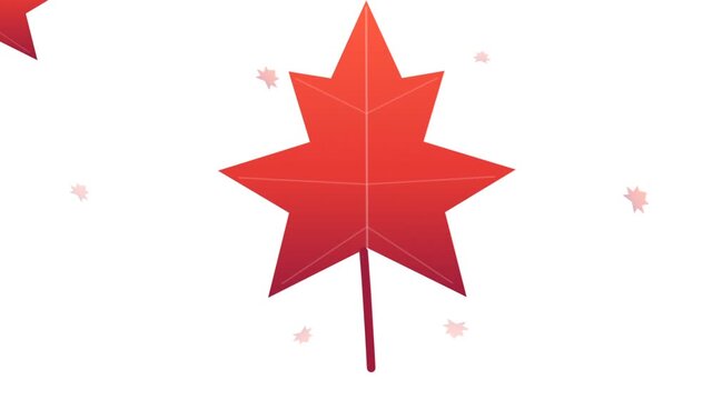 Animated Red Maple Leaf Falling Against A Bright White Background