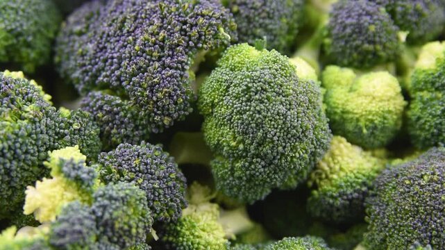 Close up view of raw fresh green broccoli florets in metal bowl and on wooden table surface background prepared for healthy vegan cooking.