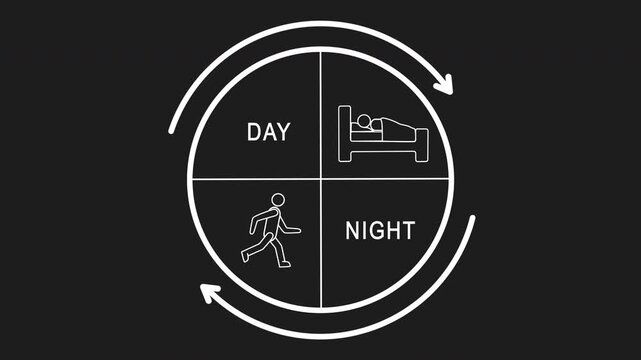 White line circle with sleeping and walking people, day and night text, and a rotating arrow. Shows circadian rhythm. For lifestyle infographics on dark background