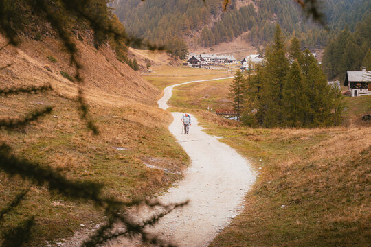 Scenic winding trail leads a lone walker through the golden valley of Alpe Devero