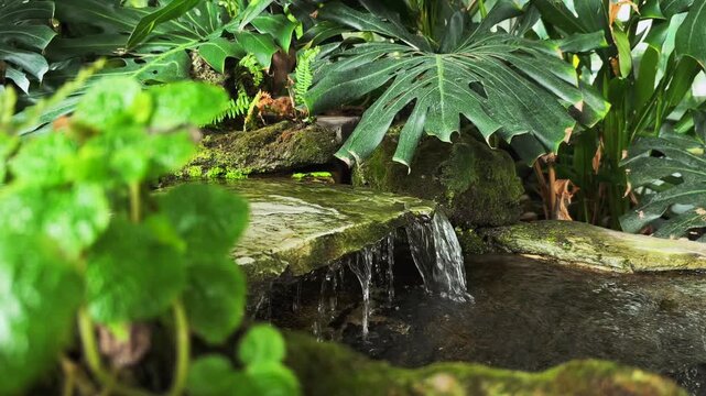 Small waterfall flowing over mossy stone among lush tropical leaves in a decorative garden