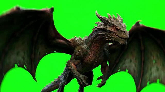 Ancient wyvern dragon hovering in place with rhythmic wing flaps isolated on a bright green screen for easy background removal