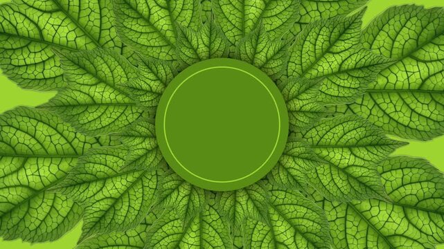 Elegant motion background animation featuring spinning vibrant green leaf patterns rotating seamlessly behind a central round blank frame template