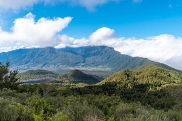 Montaña de Tamanca – Vulkanlandschaft, La Palma  © Florian Braun